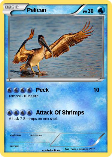 Pokemon Pelican