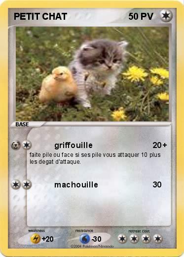 Pokemon PETIT CHAT