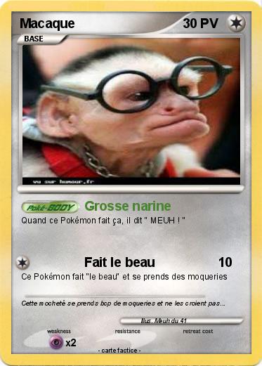 Pokemon Macaque