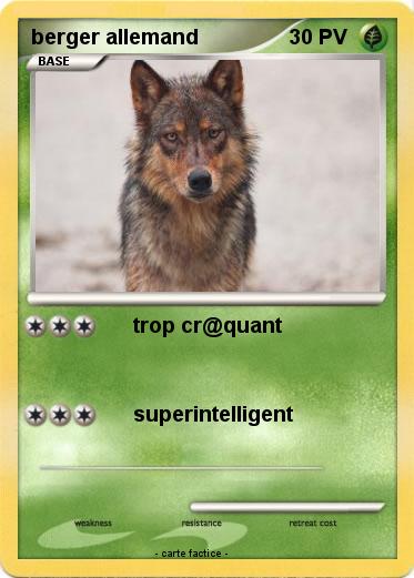 Pokemon berger allemand