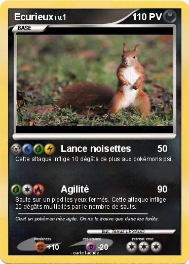 Pokemon Ecurieux