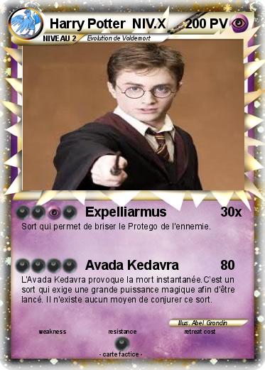 Pokemon Harry Potter  NIV.X