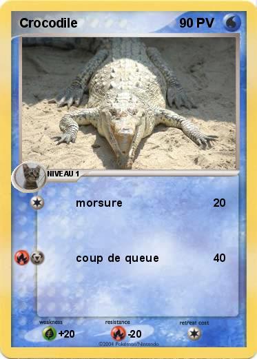 Pokemon Crocodile