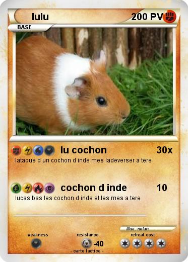 Pokemon lulu