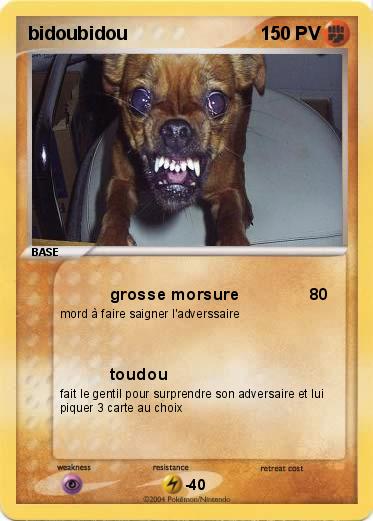 Pokemon bidoubidou
