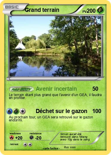Pokemon Grand terrain