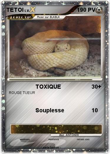 Pokemon TETOI
