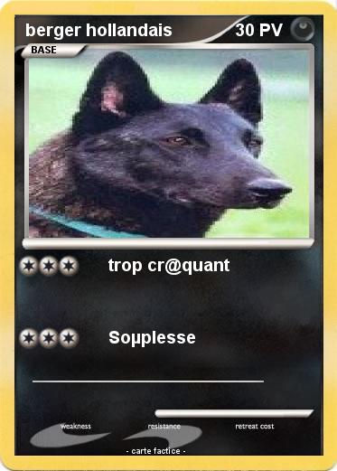 Pokemon berger hollandais