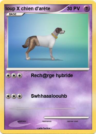 Pokemon loup X chien d'arête