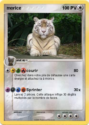 Pokemon morice