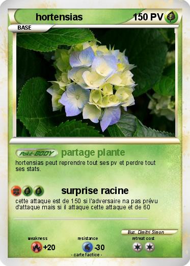 Pokemon hortensias
