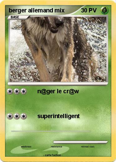 Pokemon berger allemand mix