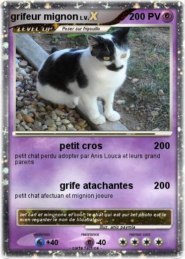 Pokemon grifeur mignon