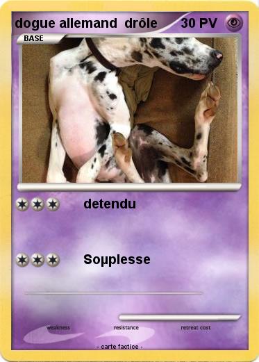 Pokemon dogue allemand  drôle