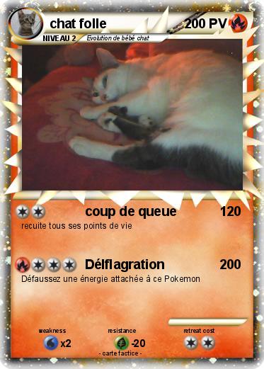 Pokemon chat folle