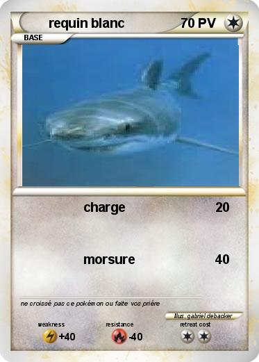 Pokemon requin blanc