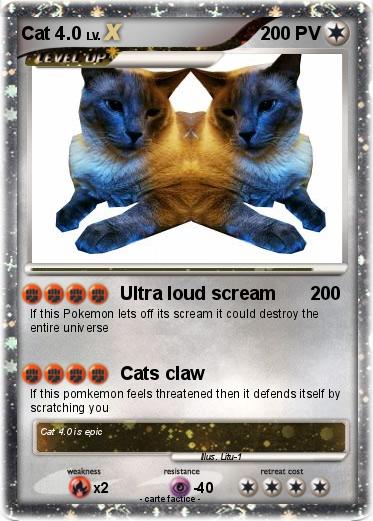 Pokemon Cat 4.0