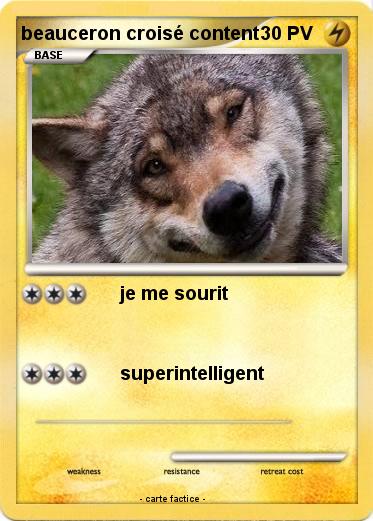 Pokemon beauceron croisé content