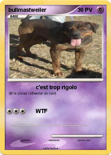 Pokemon bullmastweiler