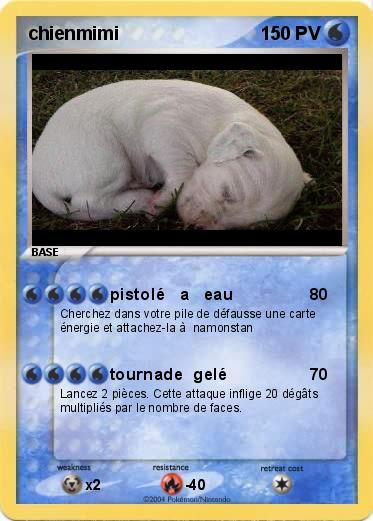 Pokemon chienmimi