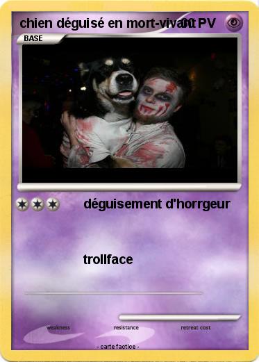 Pokemon chien déguisé en mort-vivant