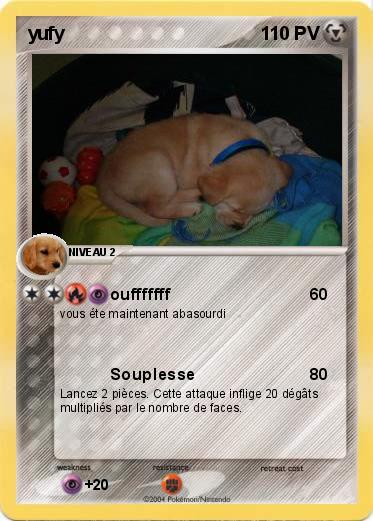 Pokemon yufy