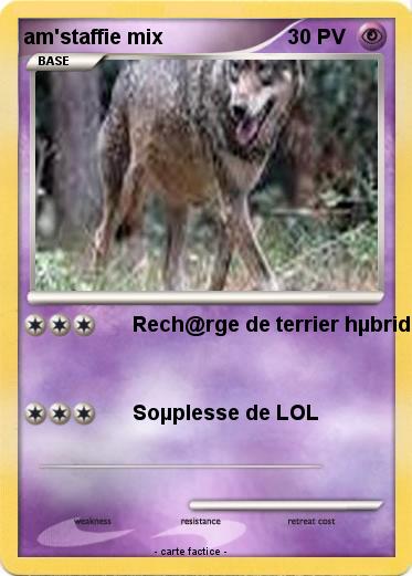 Pokemon am'staffie mix