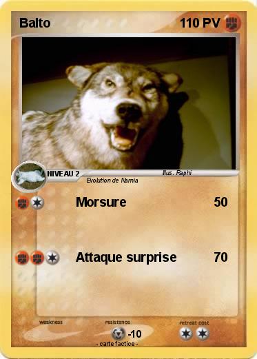 Pokemon Balto