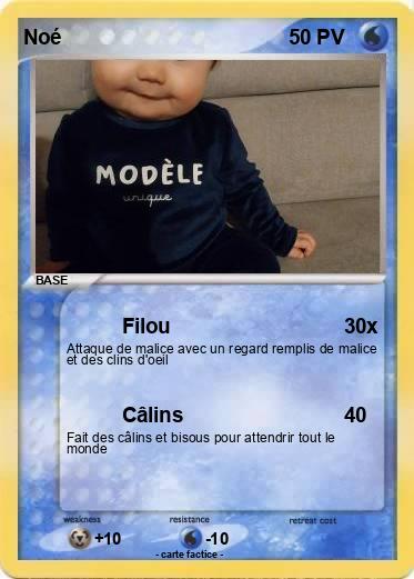 Pokemon Noé