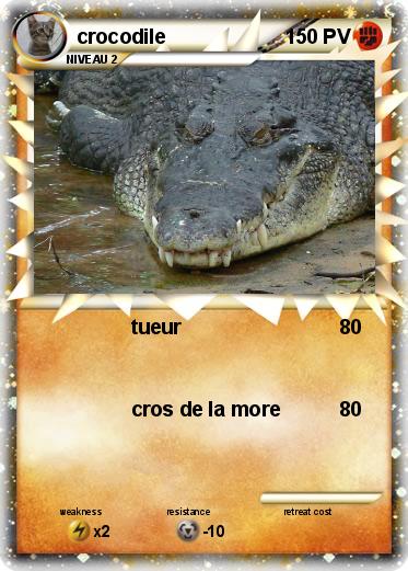 Pokemon crocodile