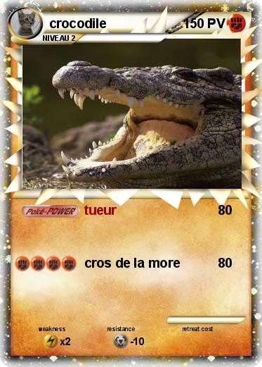 Pokemon crocodile