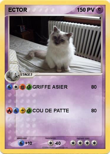 Pokemon ECTOR