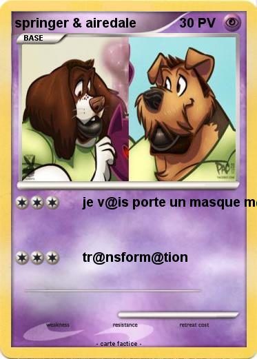 Pokemon springer & airedale