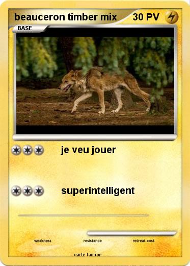 Pokemon beauceron timber mix