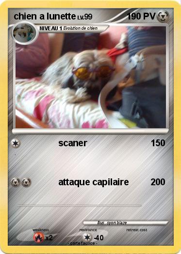 Pokemon chien a lunette