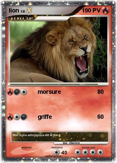 Pokemon lion