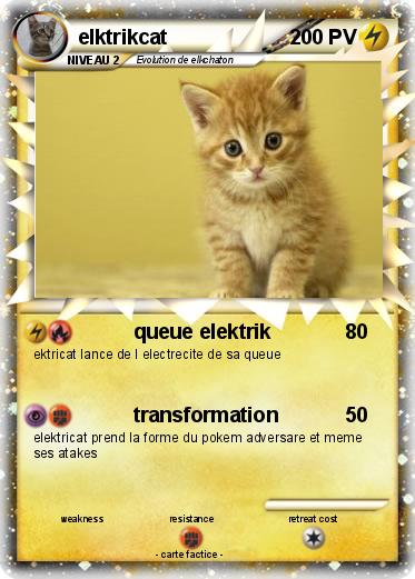 Pokemon elktrikcat