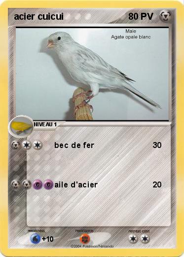 Pokemon acier cuicui