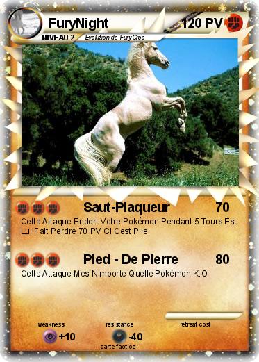 Pokemon FuryNight