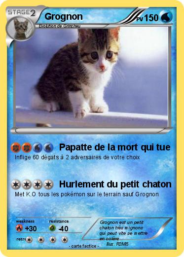 Pokemon Grognon