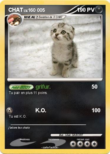 Pokemon CHAT