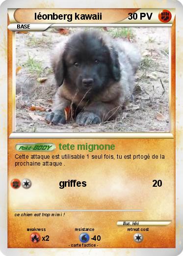 Pokemon léonberg kawaii