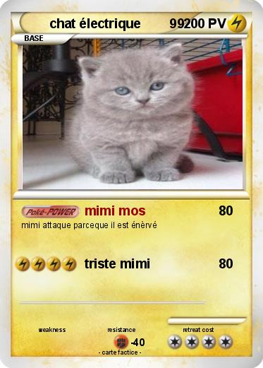 Pokemon chat électrique        99                                                                                                                                   9                                               a
