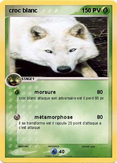 Pokemon croc blanc