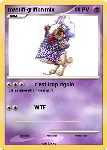 Pokemon mastiff-griffon mix