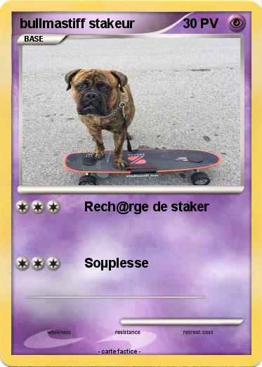 Pokemon bullmastiff stakeur