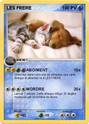 Pokemon LES FRERE