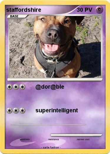 Pokemon staffordshire