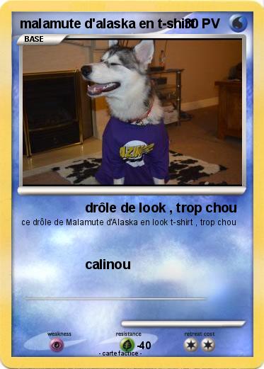 Pokemon malamute d'alaska en t-shirt