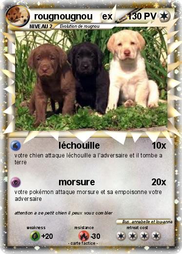 Pokemon rougnougnou    ex